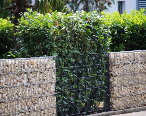 Jak zasłonić kosze na śmieci przed domem? Estetyczne i ciekawe inspiracje