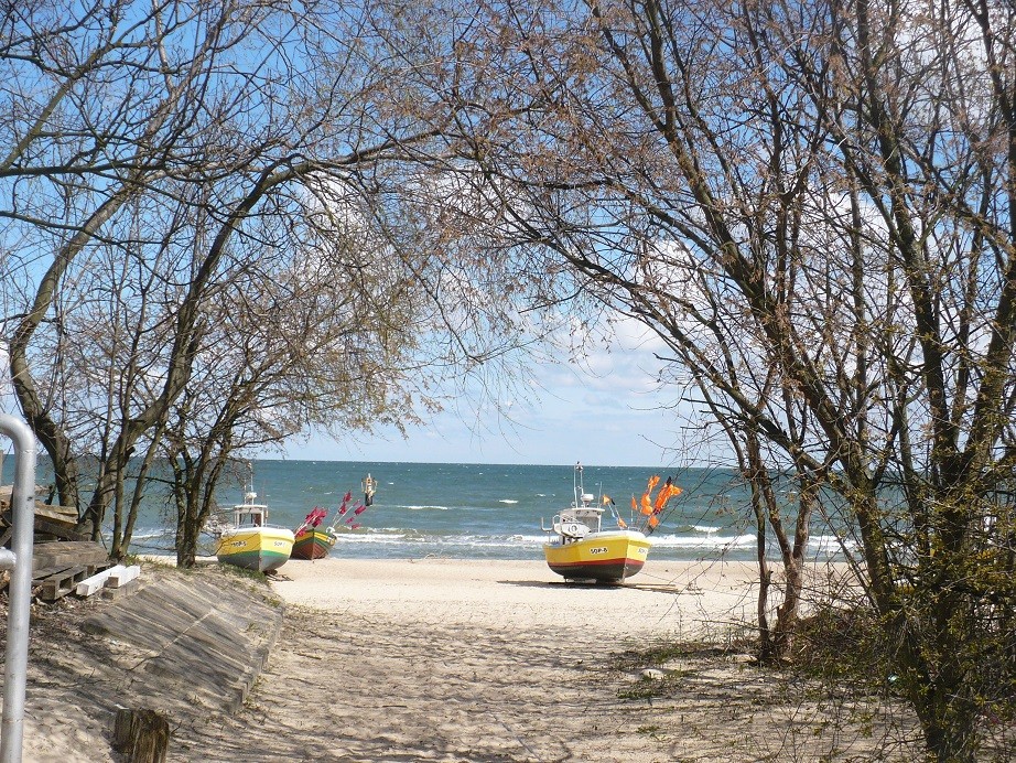 Rośliny, Wiosna w ogrodzie .........i ........w domu ............. - .................i kutry...............na plaży.............