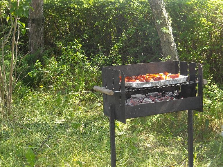 Pozostałe, Taki sobie letni domek na wsi .....