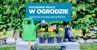 Wiosenne prace w ogrodzie