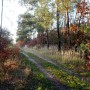 Leśne klimaty, Ostatnie dni prawdziwej jesieni