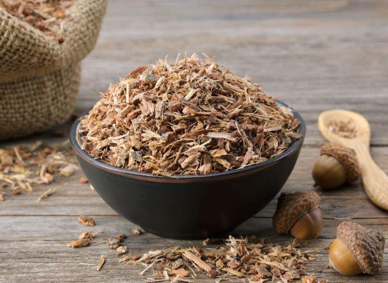 Kora dębu jest od lat stosowana w medycynie ludowej.