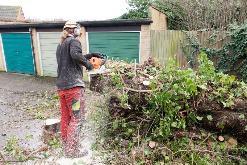 Wycinka drzew i krzewów na prywatnej posesji