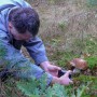 Leśne klimaty, Poniatowa grzyby - Poniatowa grzyby - foto.Krzysztof Goleń