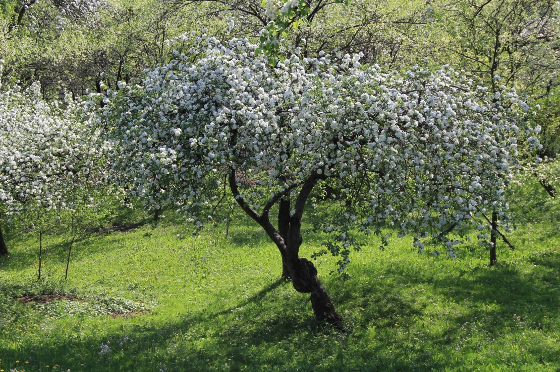 Pozostałe, sielsko - anielsko - ....