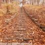 Leśne klimaty, W liściach... - Jesienne spacery w liściach. Za to lubię jesień. Za barwy, za szum liści...