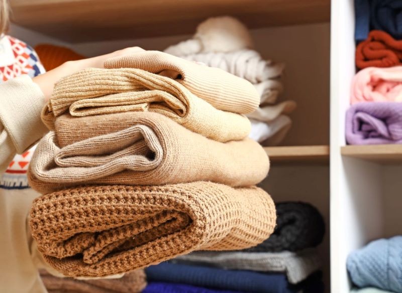 Jeśli chcemy pozbyć się moli odzieżowych, musimy znaleźć ich źródło.