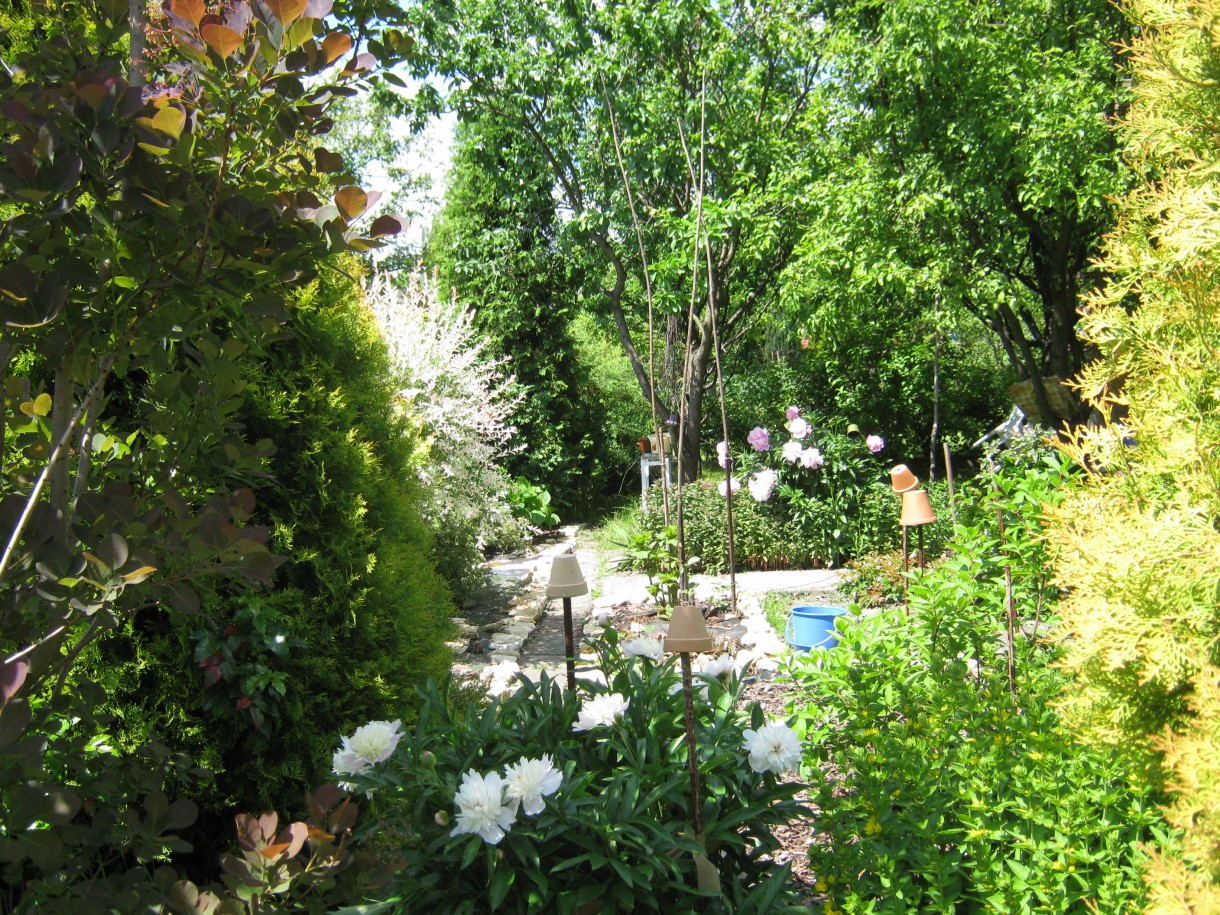 Ogród, Moja Bajka 2017r
