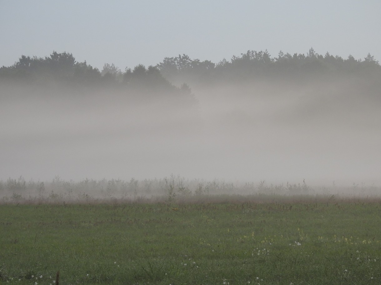 Leśne klimaty, WRZEŚNIOWY PORANEK :)