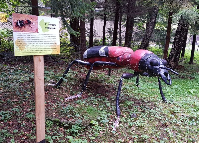 Podróże, Atrakcje Korbielowa