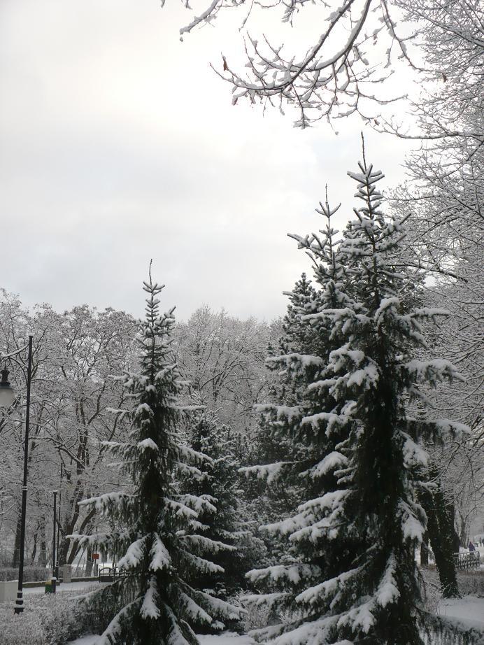 Pozostałe, Pierwsze pisanki haftowanki i zima nad morzem ................. - ............i śniegiem otulone choinki nad morzem ............