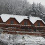 Leśne klimaty, CZEKAJĄC NA ŚWIĘTA :)