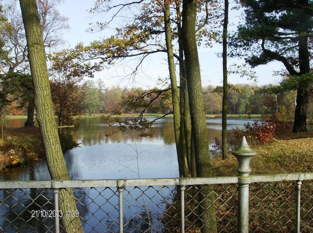 Pozostałe, PARK w ŚWIERKLAŃCU - Rozległe jeziorko ...