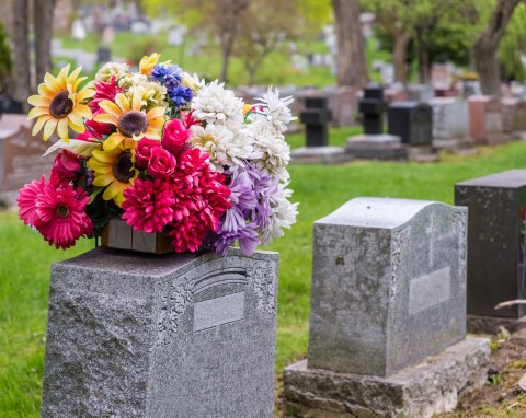 Jakie kwiaty na cmentarz wybrać? Najtrwalsze rośliny na groby