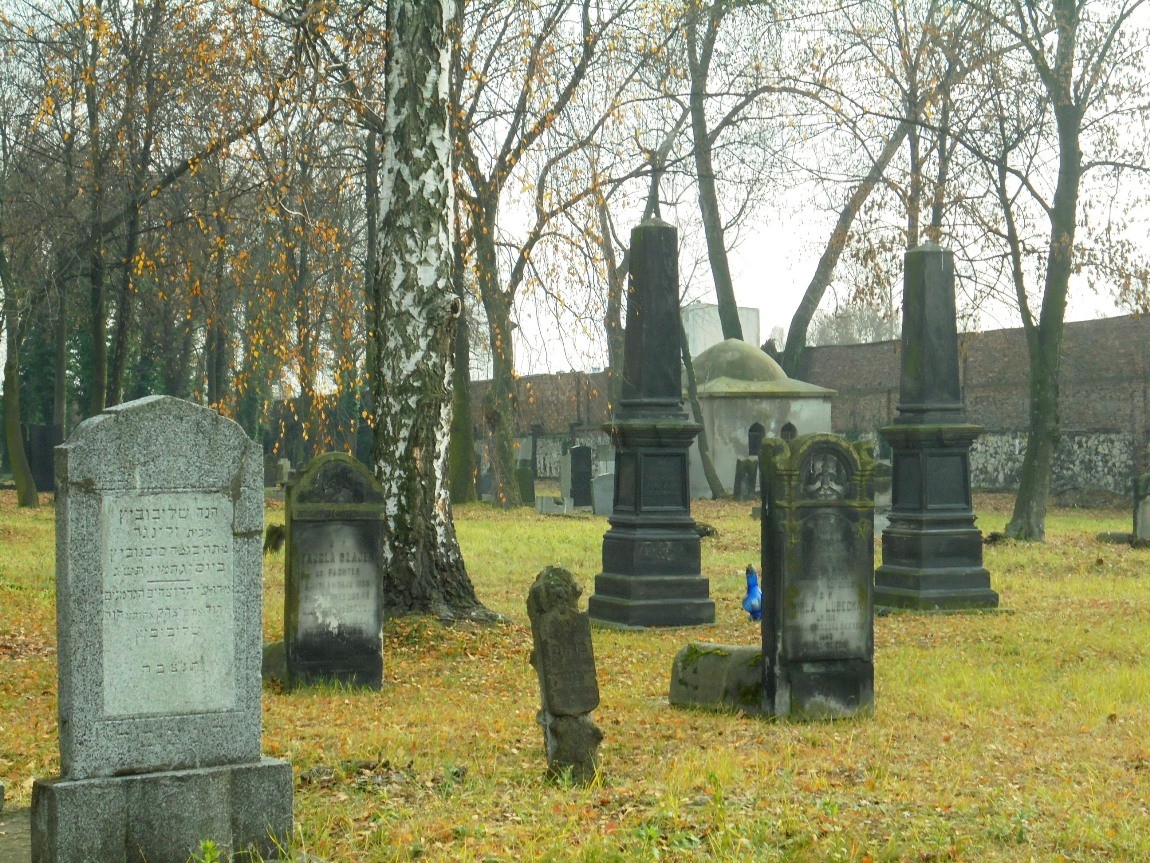 Pozostałe, NEKROPOLIA  WIELOWYZNANIOWA - CMENTARZ ŻYDOWSKI Sosnowiec ul, Gospodarcza