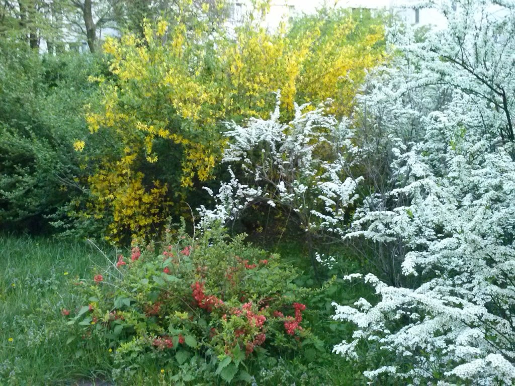 Pozostałe, hej, hej.. zobaczcie jak jest ładnie na moim osiedlu :)