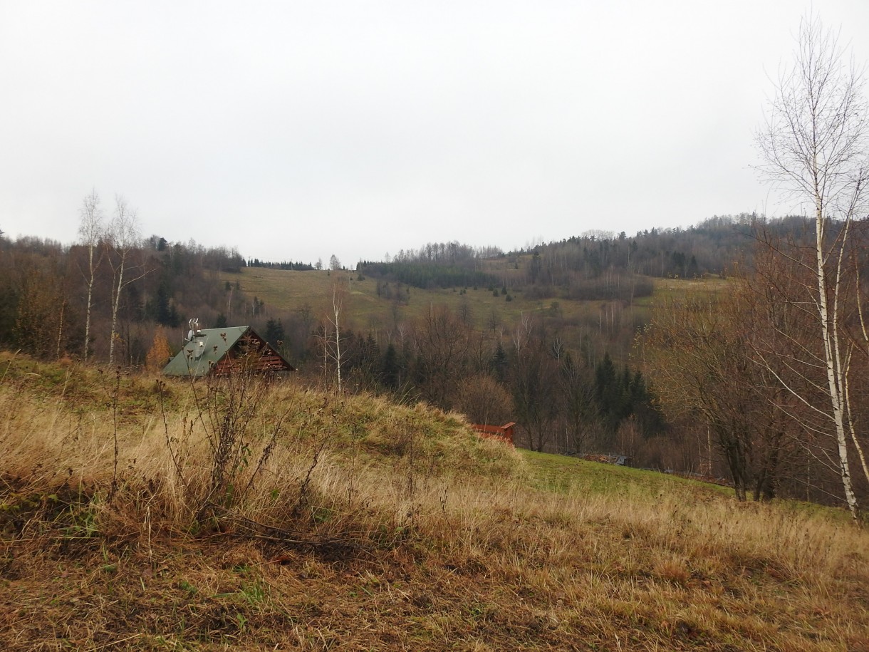 Leśne klimaty, GRUDNIOWY CZAS