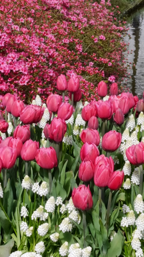 Pozostałe, Keukenhof