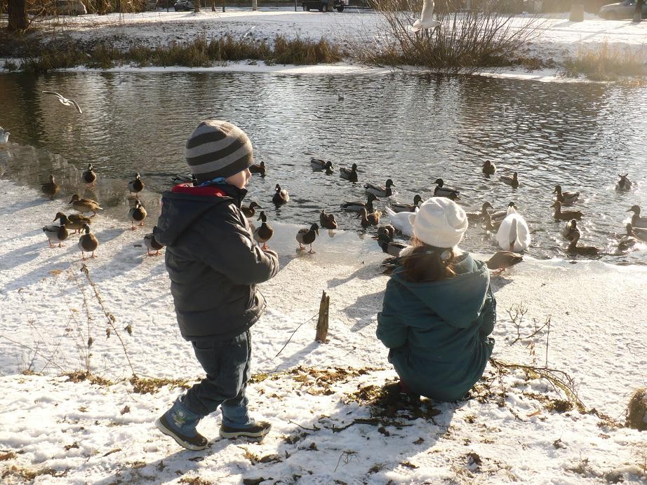 Pozostałe, Styczniowe pastelowe robótki.....i ........zima............. - ...........i karmienie kaczek i łabędzi na stawie.............