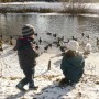 Pozostałe, Styczniowe pastelowe robótki.....i ........zima............. - ...........i karmienie kaczek i łabędzi na stawie.............