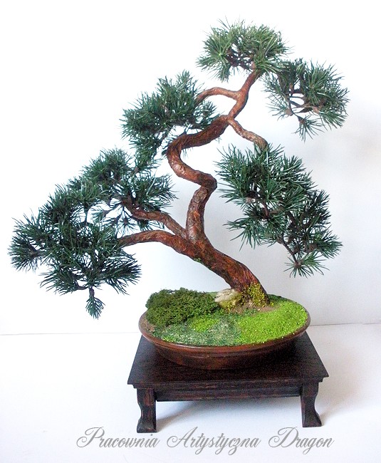 Rośliny, Sztuczne drzewko bonsai sosna w stylu han-kengai (półkaskada) - Sztuczne drzewko bonsai sosna w stylu han-kengai. l
http://dragon.netgaleria.pl/sztuczne-bonsai,39.html