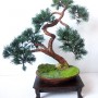 Rośliny, Sztuczne drzewko bonsai sosna w stylu han-kengai (półkaskada) - Sztuczne drzewko bonsai sosna w stylu han-kengai. l
http://dragon.netgaleria.pl/sztuczne-bonsai,39.html