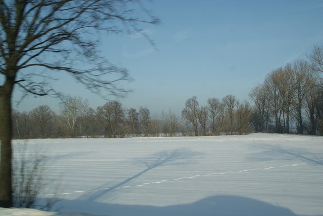 Pozostałe, Polskie i Alpejskie drogi