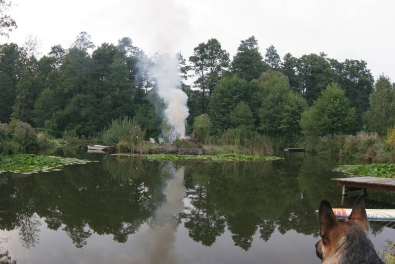 Pozostałe, STAW - wiosną sprzątamy wyspę