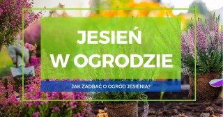 Jesień w ogrodzie