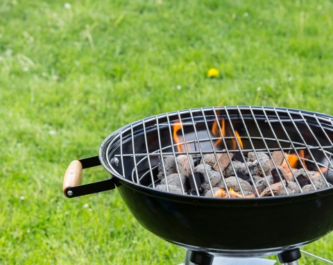 Jak wybrać grill węglowy?