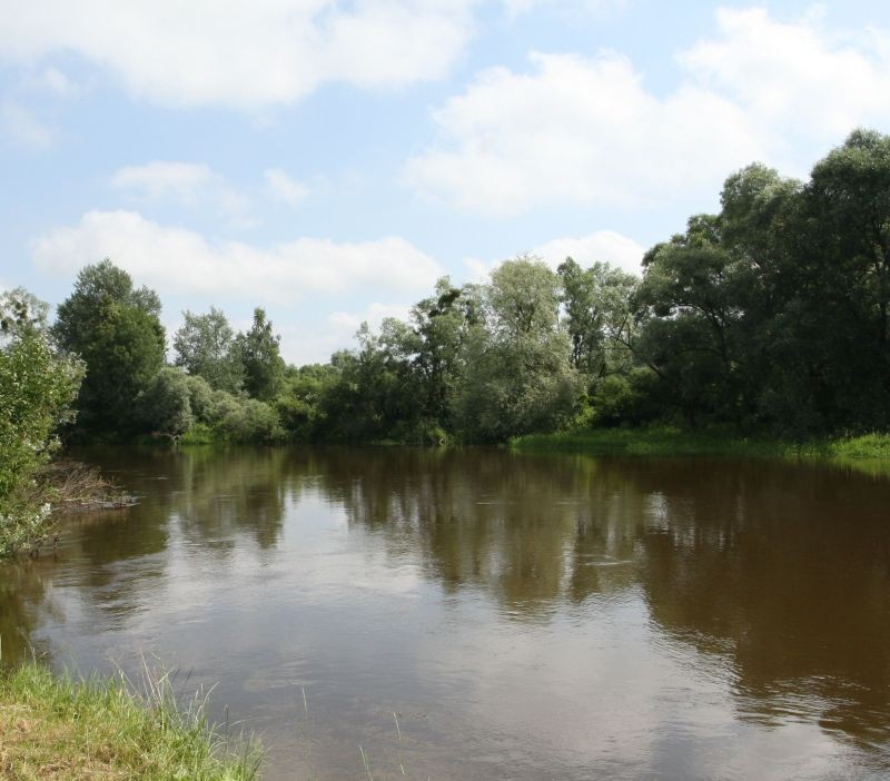 Podróże, Trochę wody dla ochłody - nad Bugiem we Włodawie