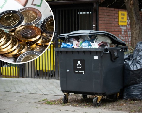 Czy można płacić mniej za śmieci? Komu przysługuje ulga w opłatach za wywóz śmieci?